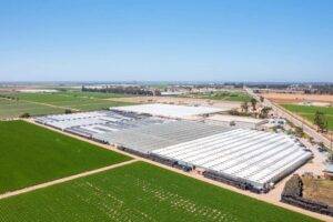 Agriculture Greenhouse