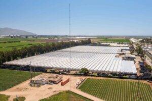 Commercial Greenhouse Roof Inspection
